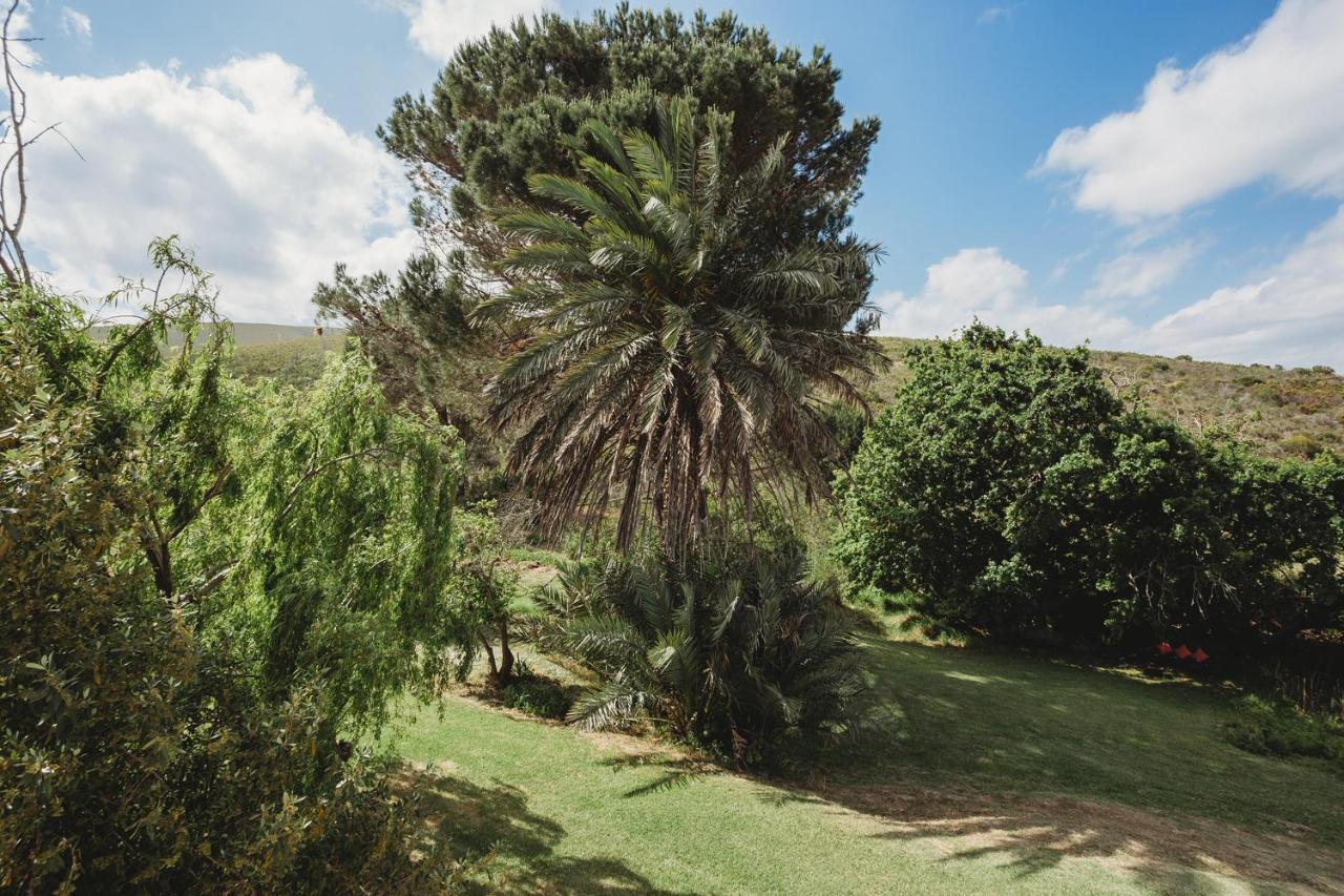Goedvertrou Guest Farm Papiesvlei المظهر الخارجي الصورة