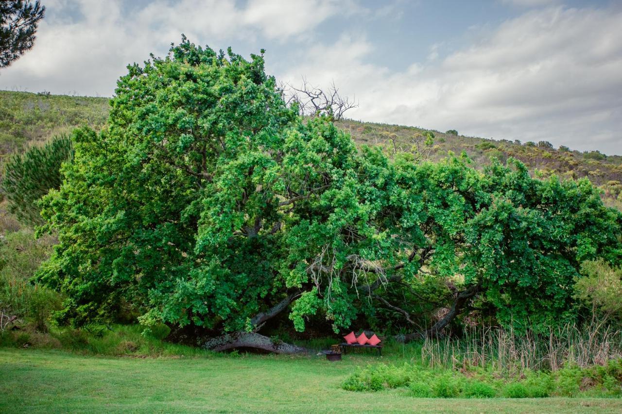 Goedvertrou Guest Farm Papiesvlei المظهر الخارجي الصورة